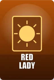 Red Lady Okładka gry Red Lady w lobby ViperWin